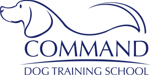 command logo +ve